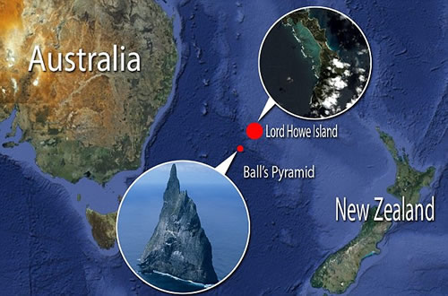 ���ţ��ĵ�����������ġ�����Ϻ����ͼ��