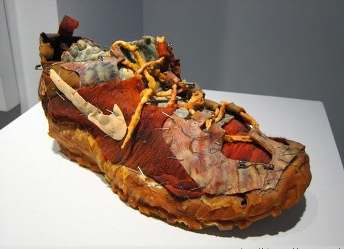 �������չ ������Ƭ��������ͼ��