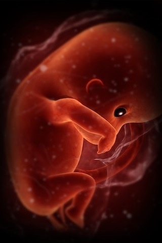 ��̾��ҽѧ3D������ͼ ��������ͼ