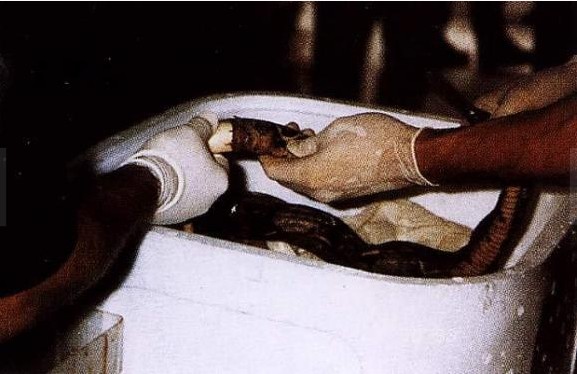 ���ط������ӵĲض������� ���治�У�ͼ��