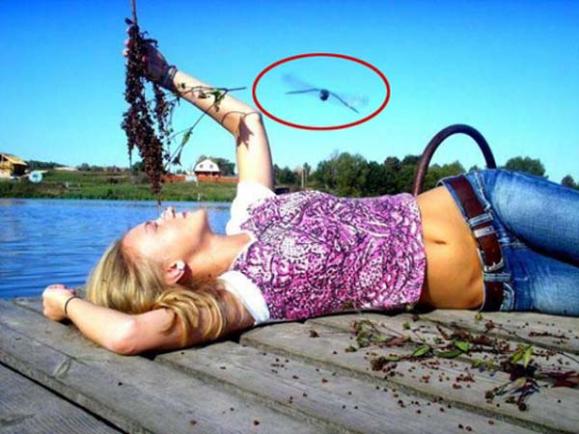 ����Ц������������ ��ЦͼƬЦ����