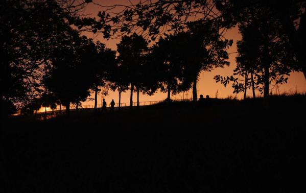 ����ĳ��ѧ��ҹץ�����Ļ��ѧ����Ȥͼ��