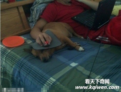 ��һ��Ц���˲���������ͼЦͼ�󼯽�