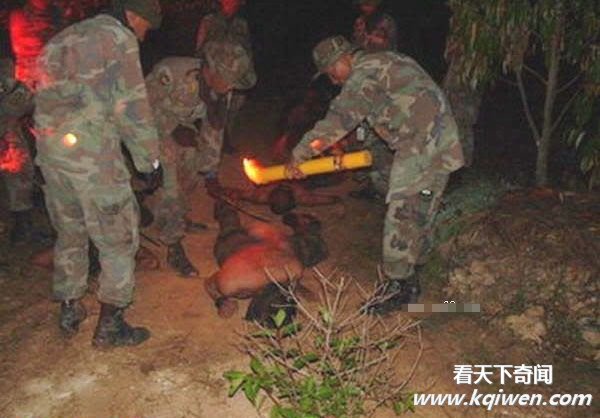 ʵ��̩���������ӵ�ħ��ѵ��ȫ���Ű�ֳ�(��ͼ)