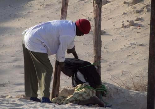 刑场实拍索马里枪决叛军真实画面(组图)